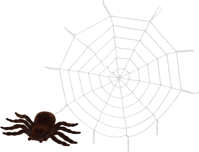 Decoratief spinnenweb met spin