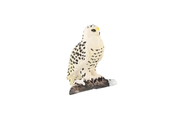 Getrouwe details van een Arctische roofvogel