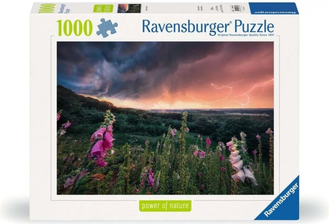 RAVENSBURGER-kwaliteit sinds 1891