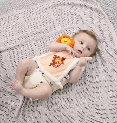 Regenboog Harry Potter Knuffeldoekje Griffoendor
