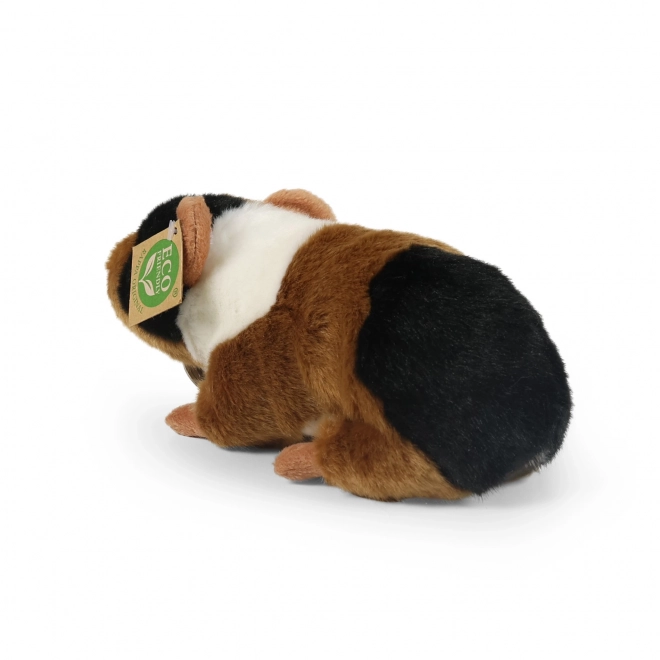 Pluchen cavia van Rappa 22 cm ecologisch