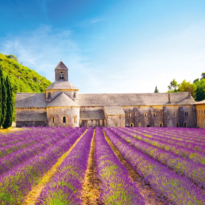 NOTIQUE Notitiekalender Provence 2025, geurend, 30 x 30 cm