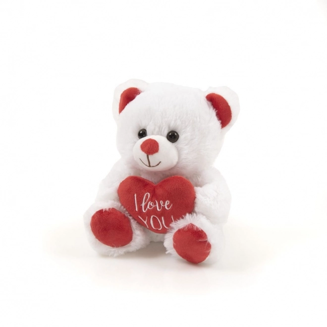 Pluche teddybeer met hart