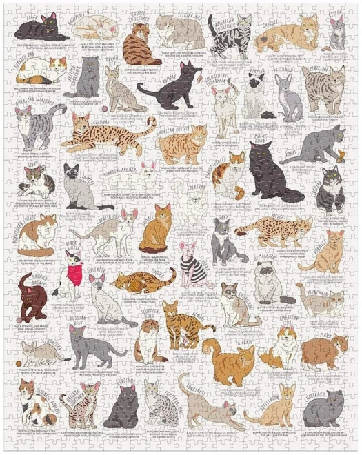 Ridley's Games Puzzel voor kattliefhebbers wit 1000 stukjes