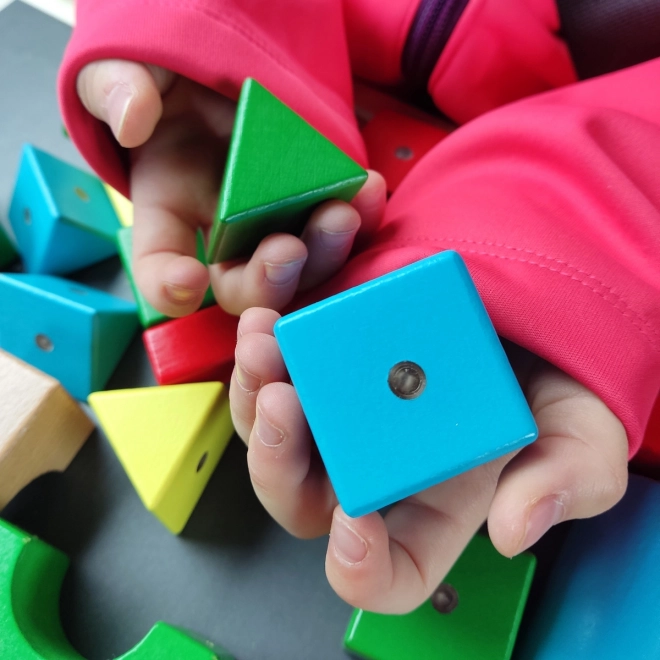 Houten magnetische blokken WABI 40 stuks