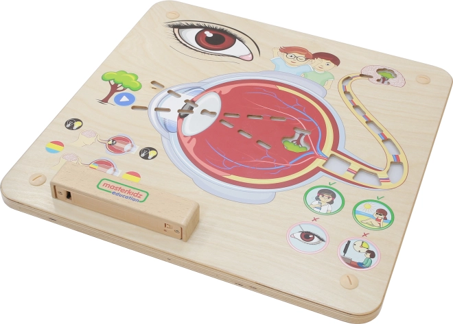 Masterkidz Educatief Bord Zicht Montessori