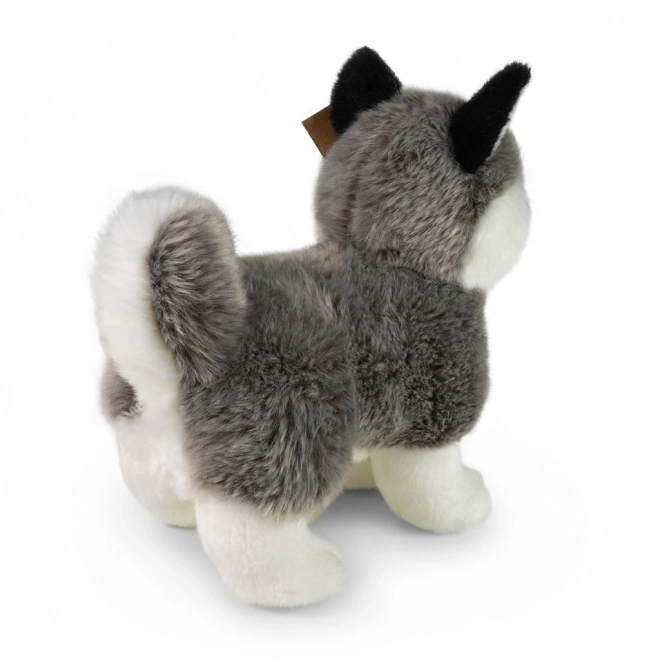 Pluchen husky staand 23 cm ECO-VRIENDELIJK