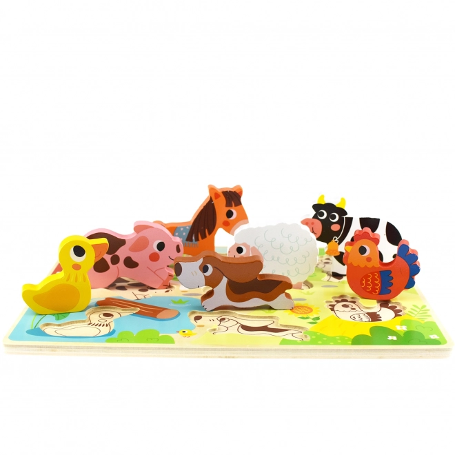 Herkennen van dieren en vormen