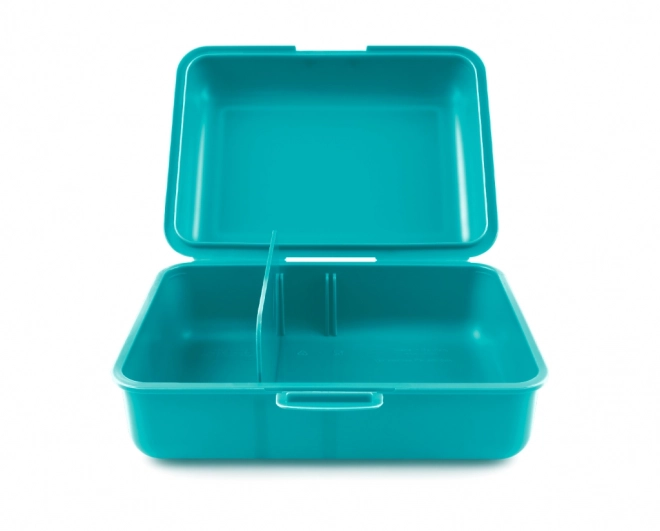 Lunchbox met dolfijn