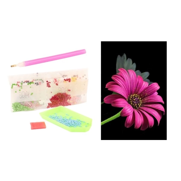 Diamant schilderen met accessoires 13 x 22 cm