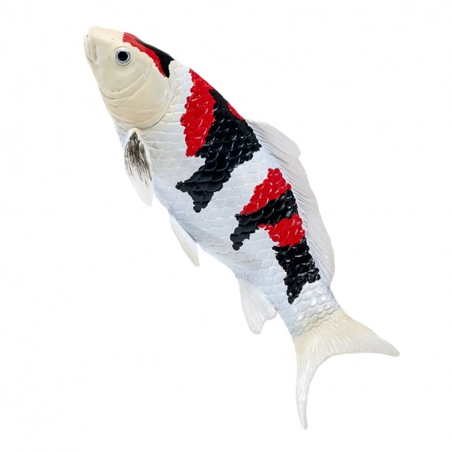 Mojo koi karper showa sanshoku