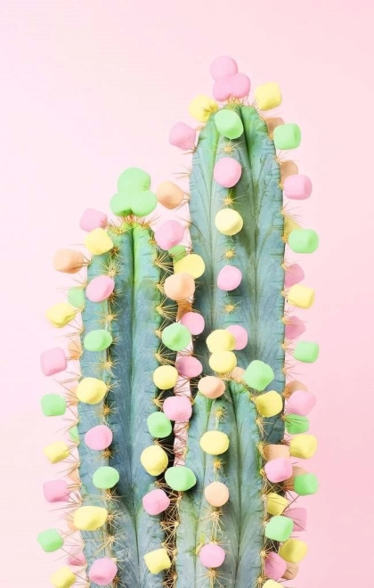 Puzzel RAVENSBURGER Puzzle Moment: Cactus 200 stukjes