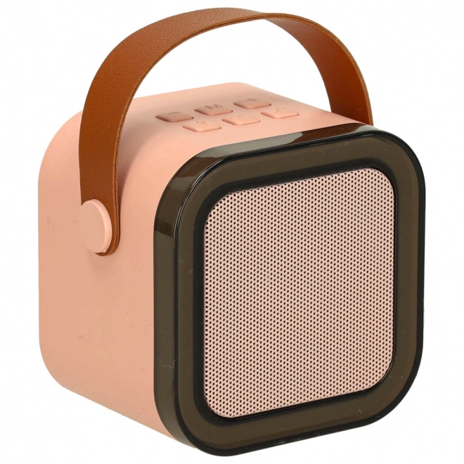 Karaoke set 2 microfoons + draagbare luidspreker BLUETOOTH USB LED roze