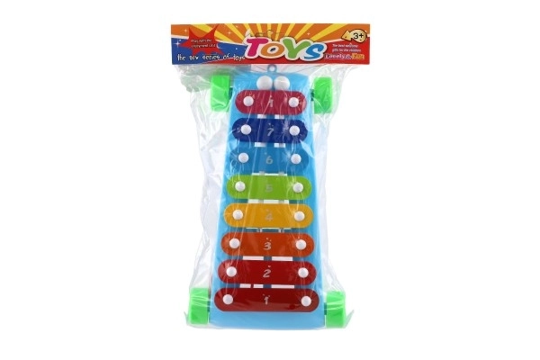 Xylofoon kunststof/metaal 24cm met stokken 2 kleuren in zak 19x31x6cm