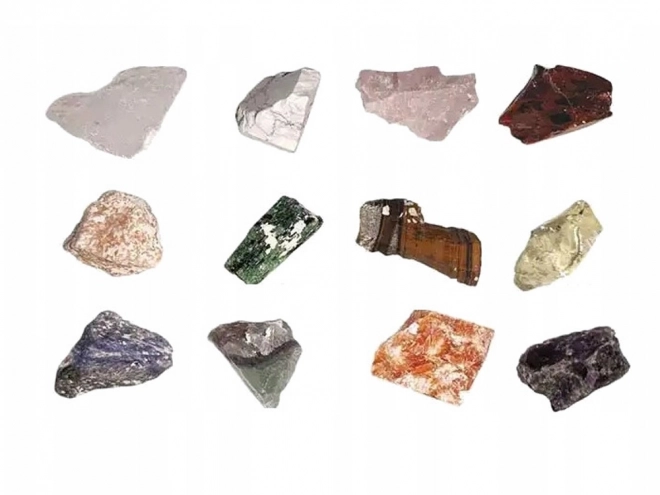 Uitgraving stenen voor kleine archeologen