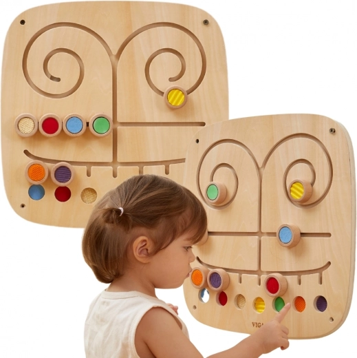 Ontwikkeling van zintuigen en cognitie