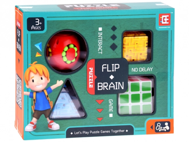 Set logische puzzels 4 stuks