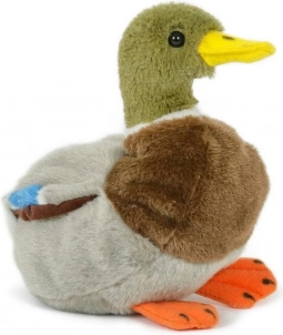 pluchen wilde eend drake 18 cm