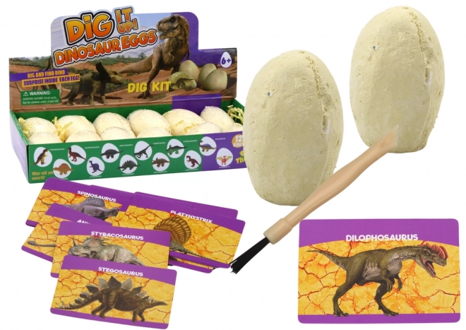 Archeologische Set Uitgravingen Dinosauruseieren Kaarten 12 Stuks