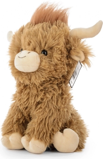 Authentieke uitstraling van het Highland-koetje