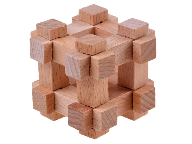 Logische puzzels