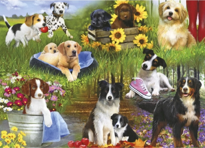 Puzzel leggen we samen: honden 24 stukjes