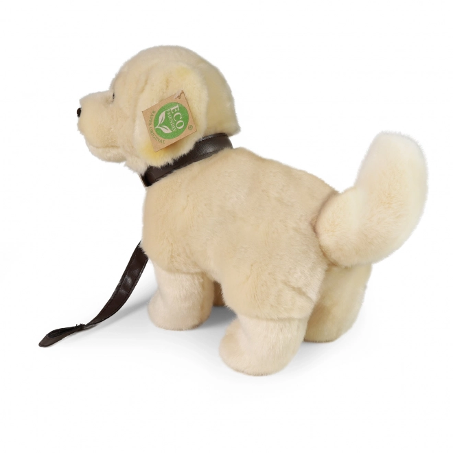 Pluchen hond Golden Retriever met riem 25 cm
