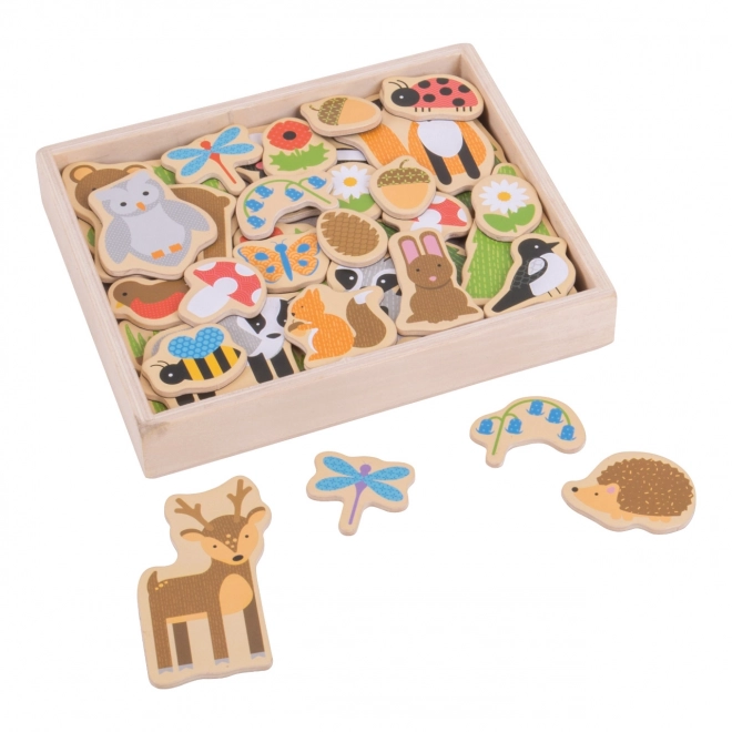 Bigjigs Toys Magneten bosdieren