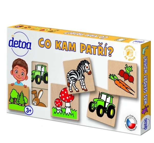 Didactisch spel - Waar hoort wat bij? 36 stukjes