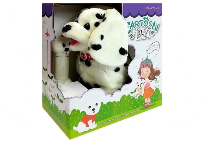 Dalmatiër geleid door Pilot Bone