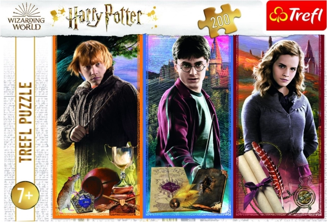 Officieel HARRY POTTER-motief van Trefl
