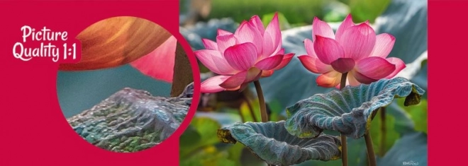 Puzzel Roze Lotus Bloemen 500 Stukken