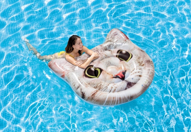 Opblaasmatras met kattenmotief