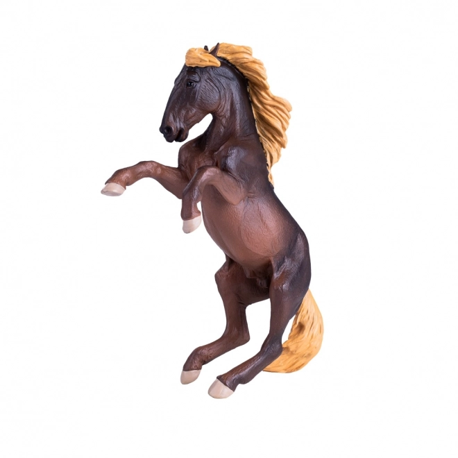 Mojo Hengst Brumby