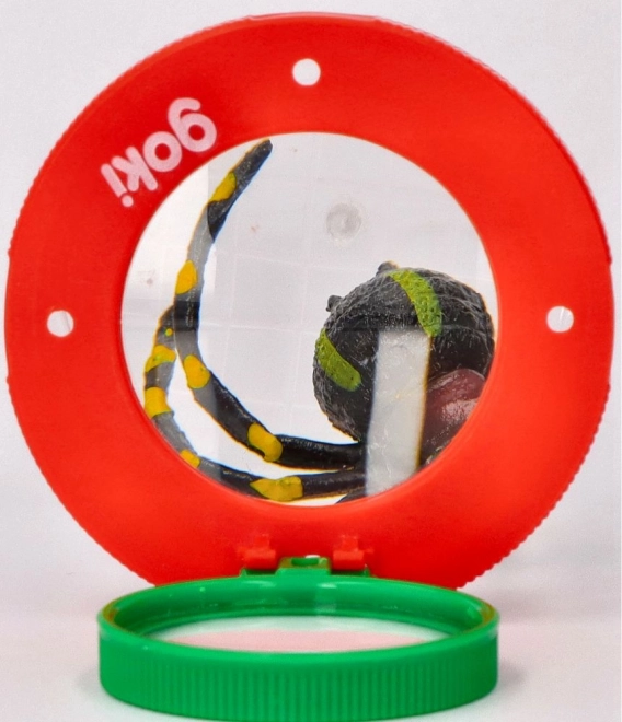 Doos voor insecten met een vergrootglas