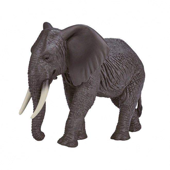 Mojo Afrikaanse Olifant