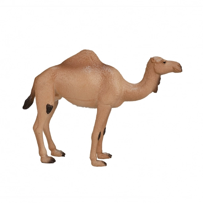 Mojo Animal Planet Dromedaris