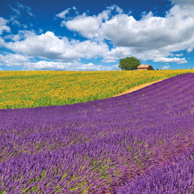 Notitiekalender Provence 2026