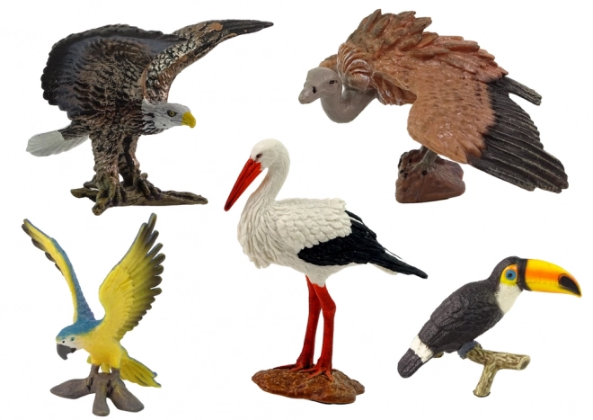 Set van figuren Vogels van de wereld - 5 stuks