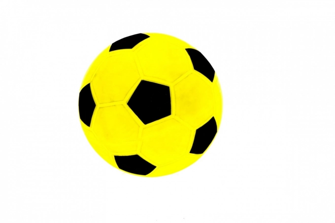 Kinder voetbaldoel met trainingszeil en accessoires