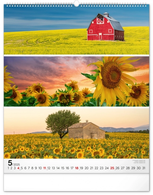 NOTIQUE Muurkalender Palet 2025, 48 x 56 cm