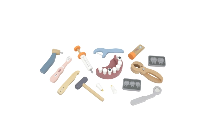 Realistische instrumenten en gebitsmodel