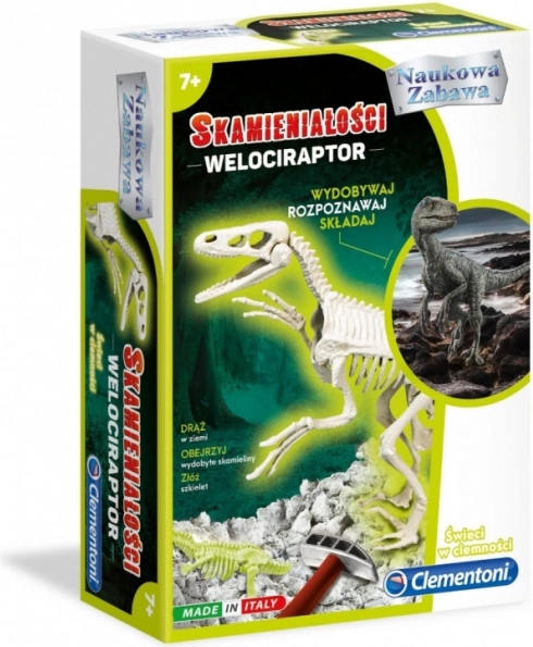 Velociraptor-fossiel