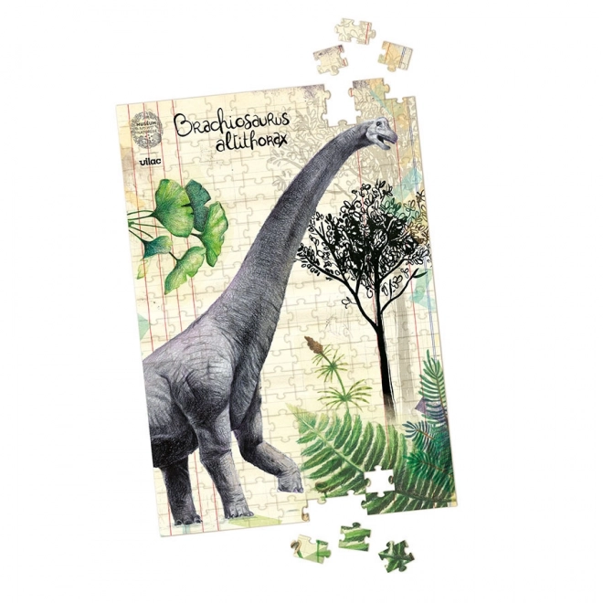 Vilac set van drie puzzels met dinosaurussen