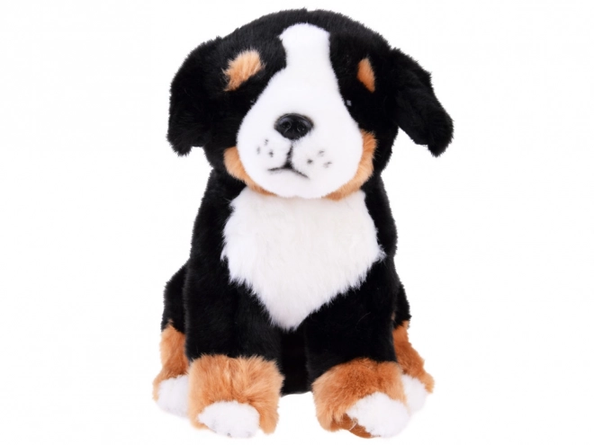 Pluche hond Berner Sennen - zittend 20 cm