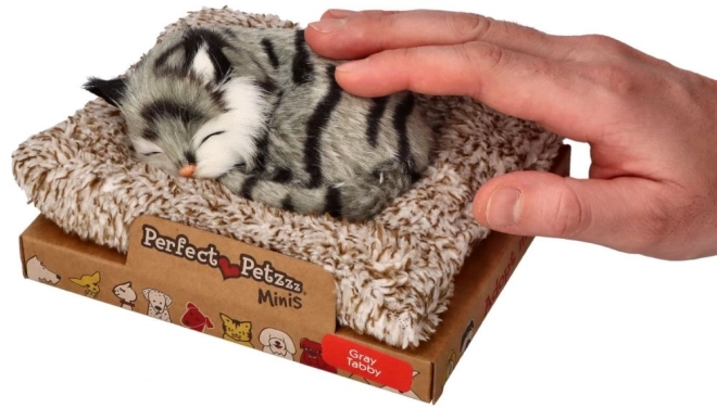 Interactieve grijze gestreepte kitten