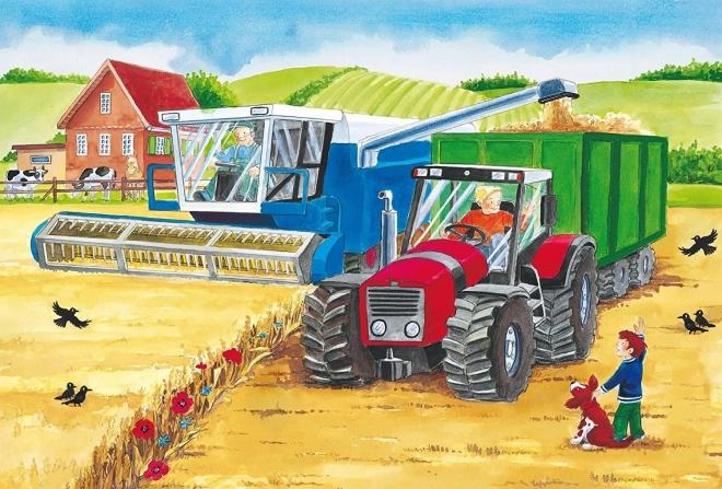 Schmidt puzzel Op de boerderij 3x24 stukjes