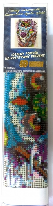 Diamantschilderen wijze uil 30x40 cm
