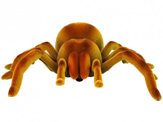 Op afstand bestuurbare tarantula spin Infrarood Bruin R/C