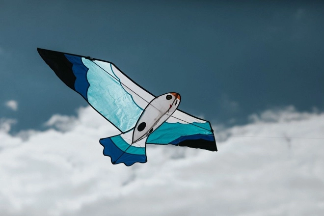 Ideaal bij wind 2–5 Bft